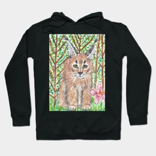 Caracal kitten cat Hoodie